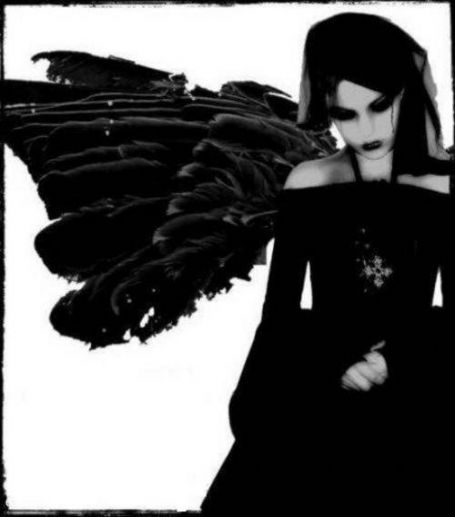 1492914[1].jpg